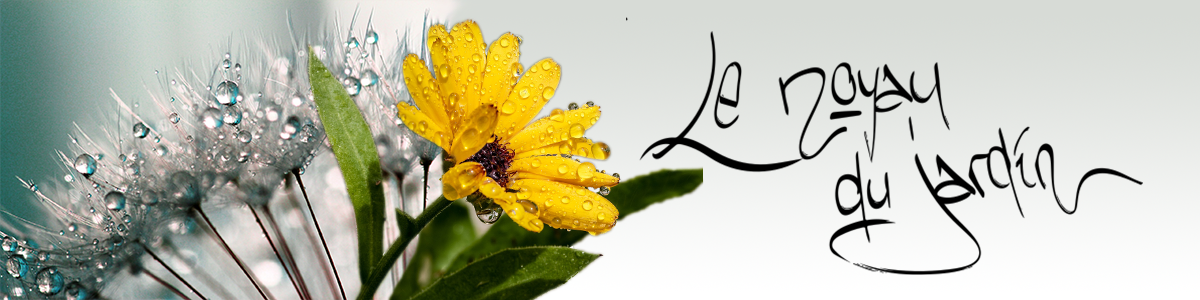 le noyau du jardin