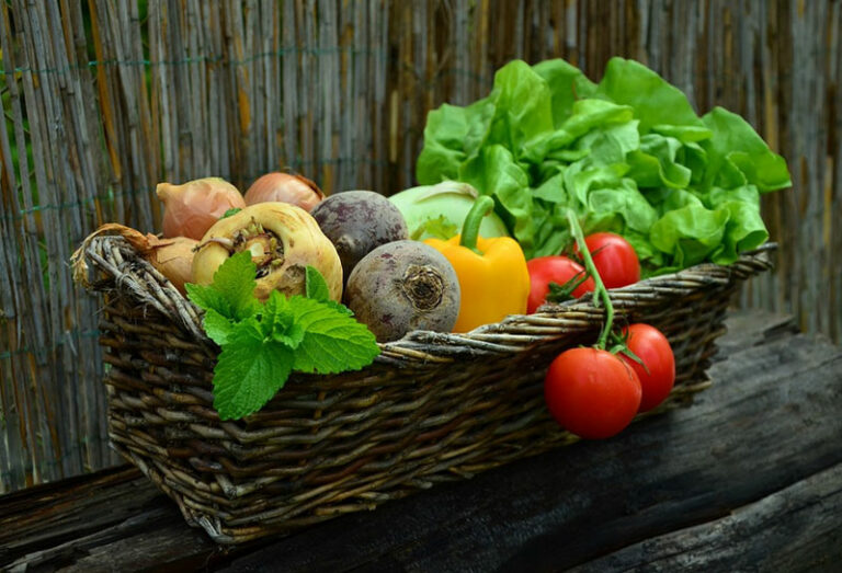 mieux manger avec le jardin