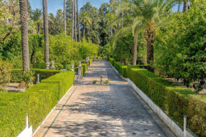 jardin de Seville
