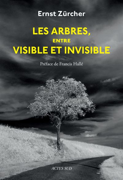 Les arbres entre visibles et invisibles