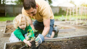 Lire la suite à propos de l’article 1001 petits moments de jardinage avec ses enfants pour du temps de qualité