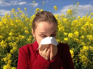 Lire la suite à propos de l’article Soulager les allergies aux pollens