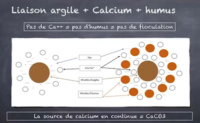 équilibre calcium du sol