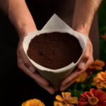 Le marc de café au jardin : allié ou poison