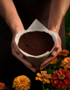 marc de café pour les fleurs et les fruits