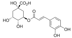 acide chlorogénique et marc de café