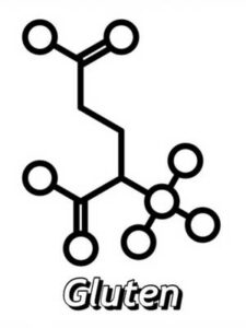 Molécule de gluten