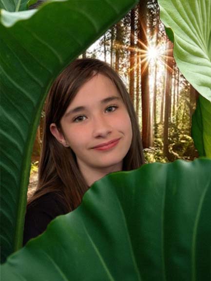 Planter des arbres pour le futur