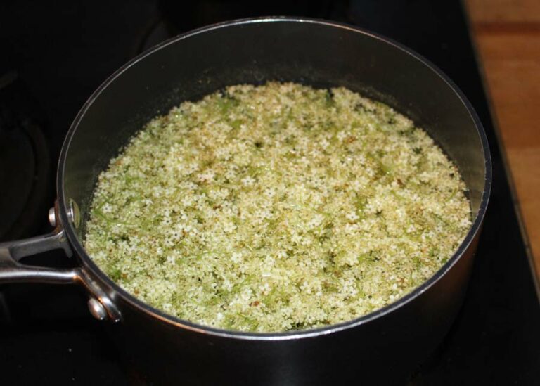 Sirop de fleur de sureau