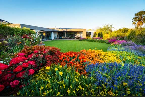 You are currently viewing Jardiner la joie : jouer avec les couleurs pour semer du bonheur