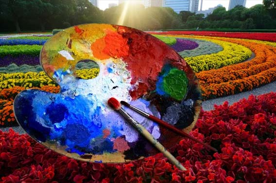 Palette de couleurs au jardin