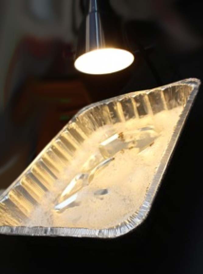 Piège à punaises lumineux facile à réaliser