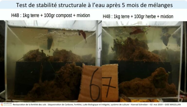 Expérience terre herbe, terre compost
