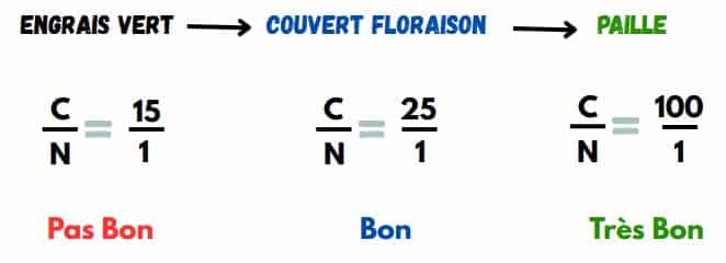 Rapport carbone sur azote