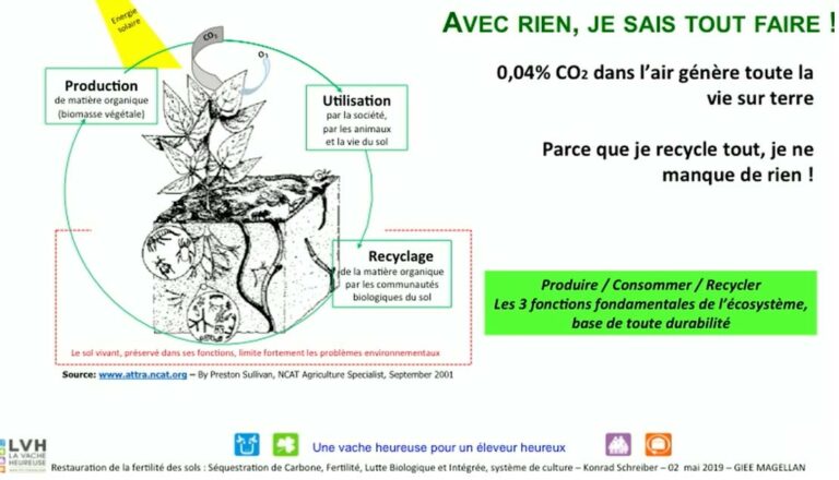 Restaurer la fertilité, un cycle