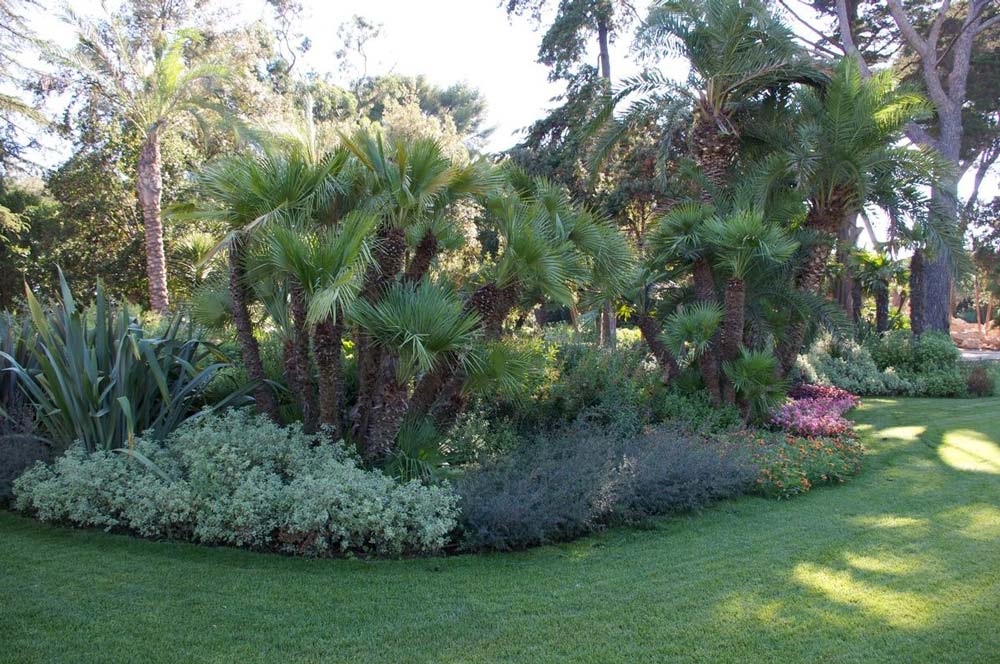 jardin exotique