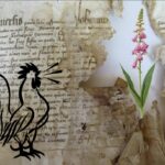 Ni importés ni exotiques : le patrimoine végétal pur de la France