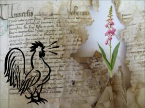 Lire la suite à propos de l’article Ni importés ni exotiques : le patrimoine végétal pur de la France
