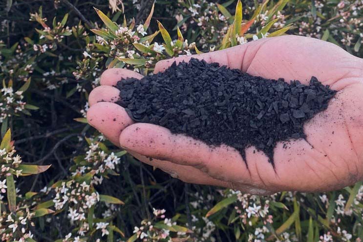 You are currently viewing Biochar enrichi en trichoderma