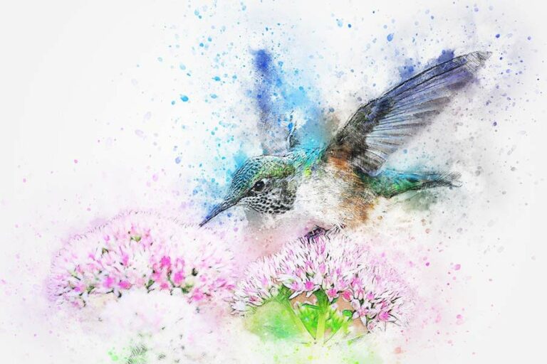 la vie et la liberté au jardin