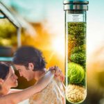 Philtre d’amour ? quand votre séduction commence au jardin