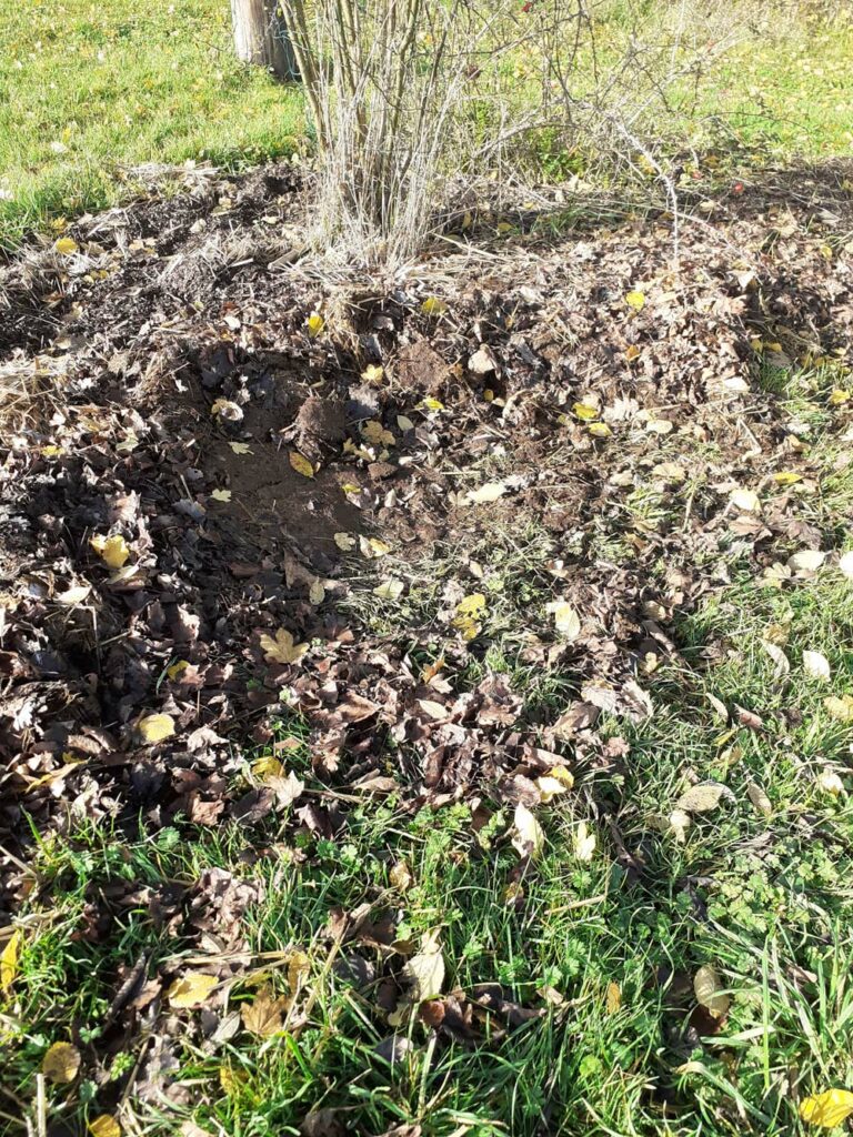 Couchage du visiteur nocturne