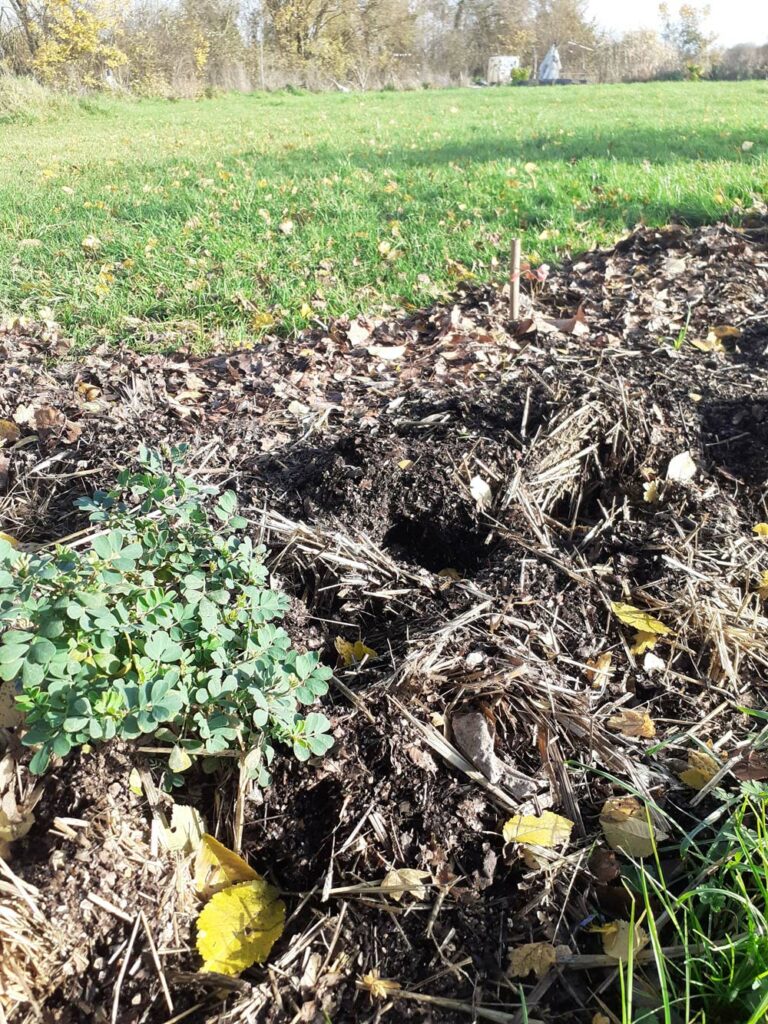 Traces de fouille de pr&egrave;s