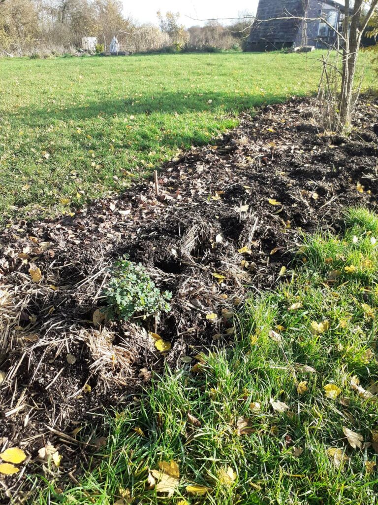 Traces de fouille au potager