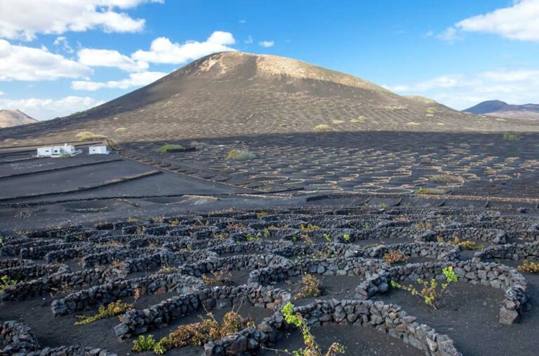 Lanzarote les pierres pour cultiver