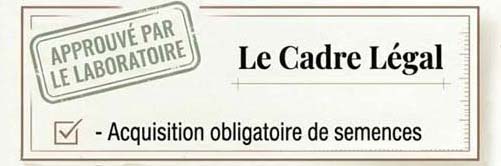 Culture du chanvre