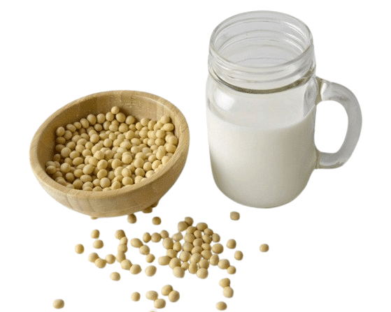 Lait de soja maison
