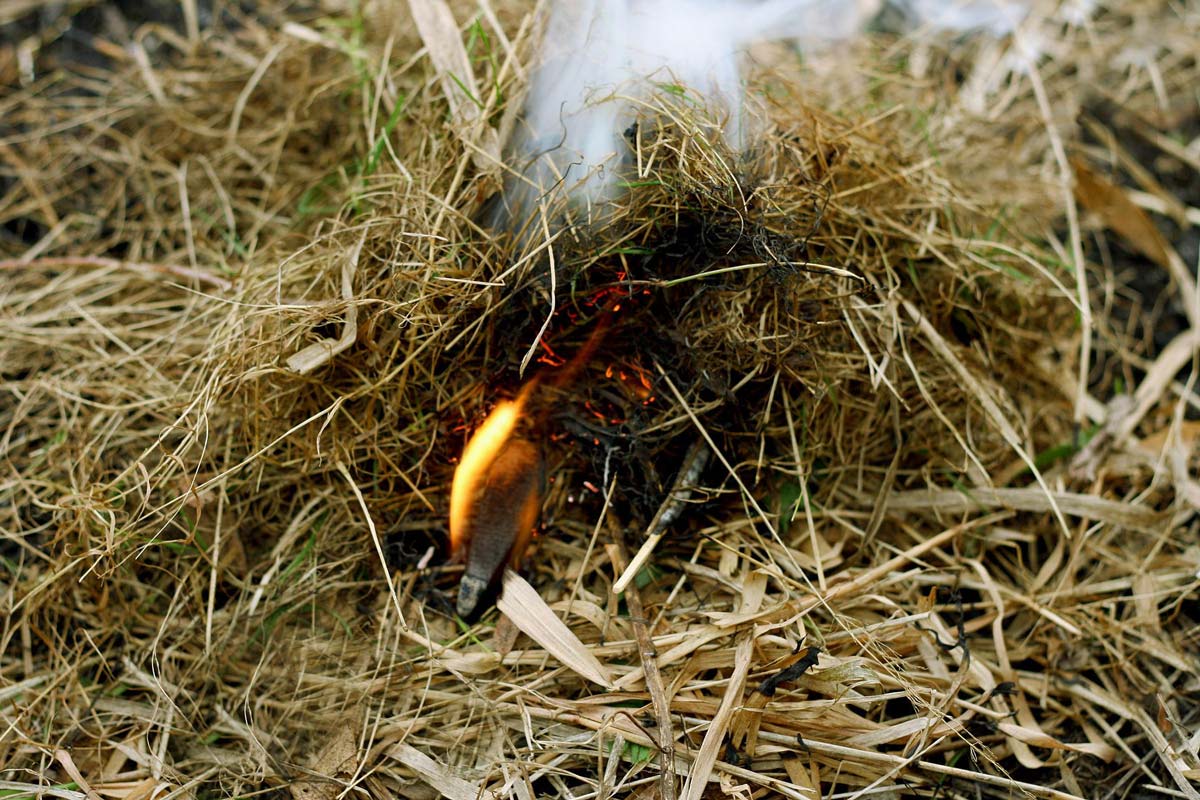 paillage et feu
